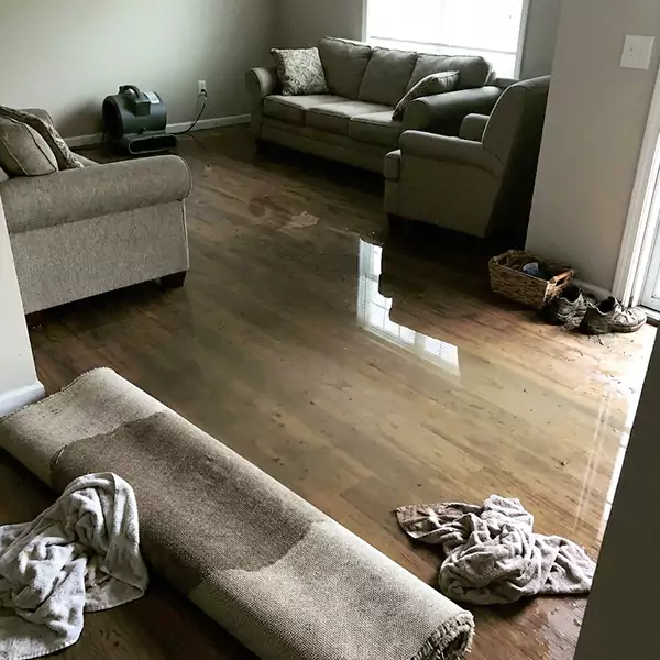 Flood Restoration in Plymouth, MA