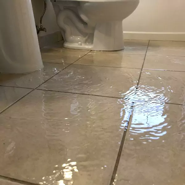 Expert Flooded Bathroom Restoration in Plymouth, MA 