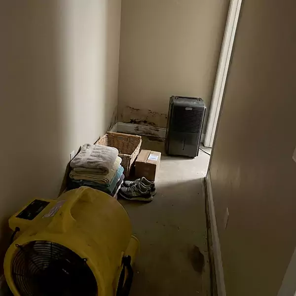 Expert Water Remediation in Plymouth, MA 