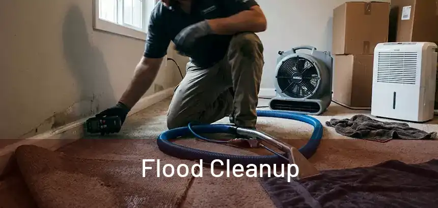  Flood Cleanup 