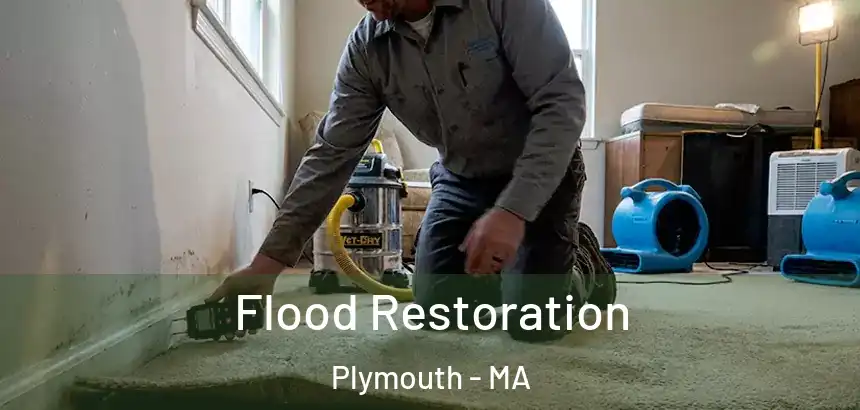  Flood Restoration Plymouth - MA