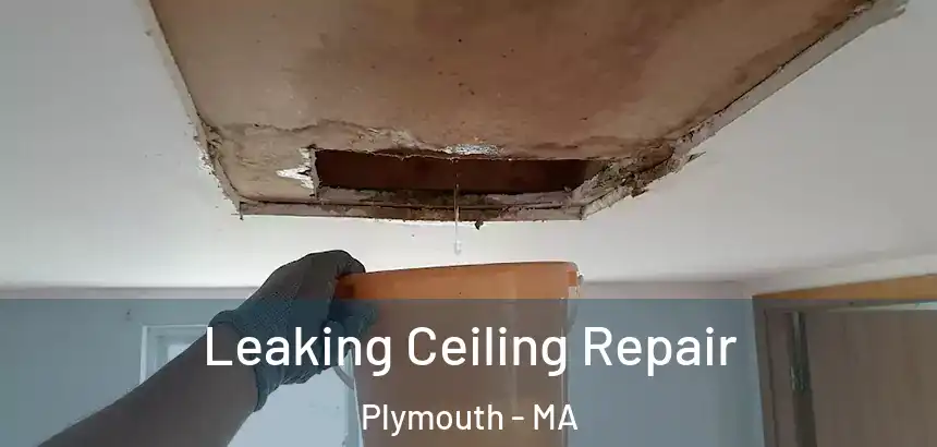  Leaking Ceiling Repair Plymouth - MA