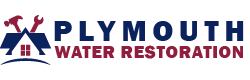 Plymouth Water Restoration