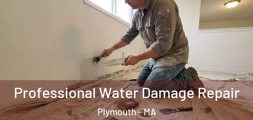  Professional Water Damage Repair Plymouth - MA