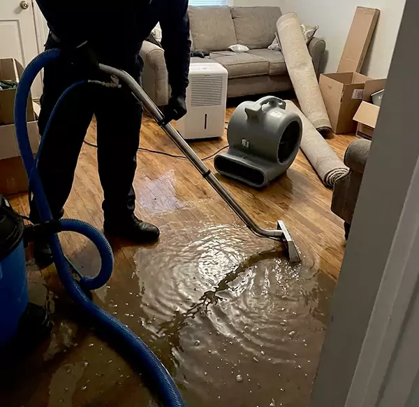 Why Homeowners & Businesses Choose Plymouth Water Restoration for Flood Cleanup in Plymouth, MA?