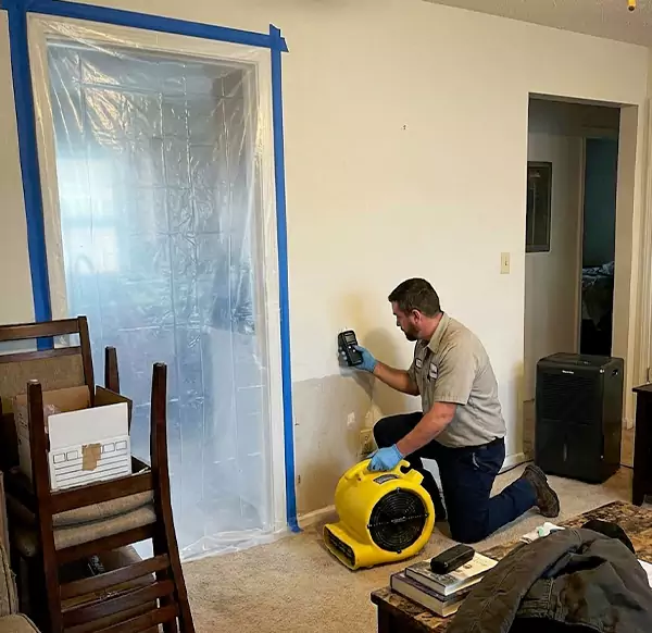 Why Homeowners & Businesses Choose Plymouth Water Restoration for Water Remediation in Plymouth, MA?